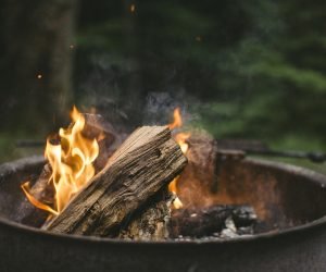 fire, chill, campfire-1535921.jpg